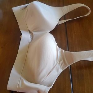 Cacique Bra size 42B